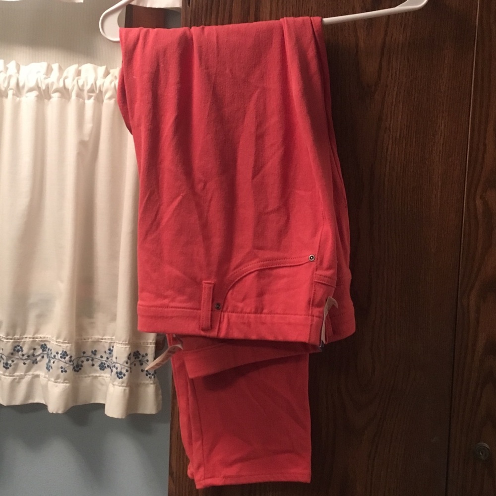 Terra and Sky  plus size legging